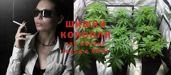 ПСИЛОЦИБИНОВЫЕ ГРИБЫ Алексин