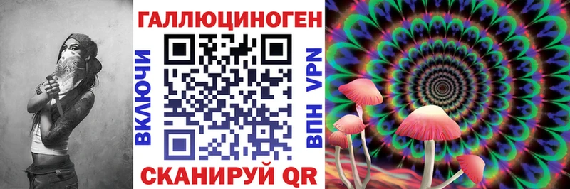 Галлюциногенные грибы Psilocybine cubensis  купить  сайты  Боровск 